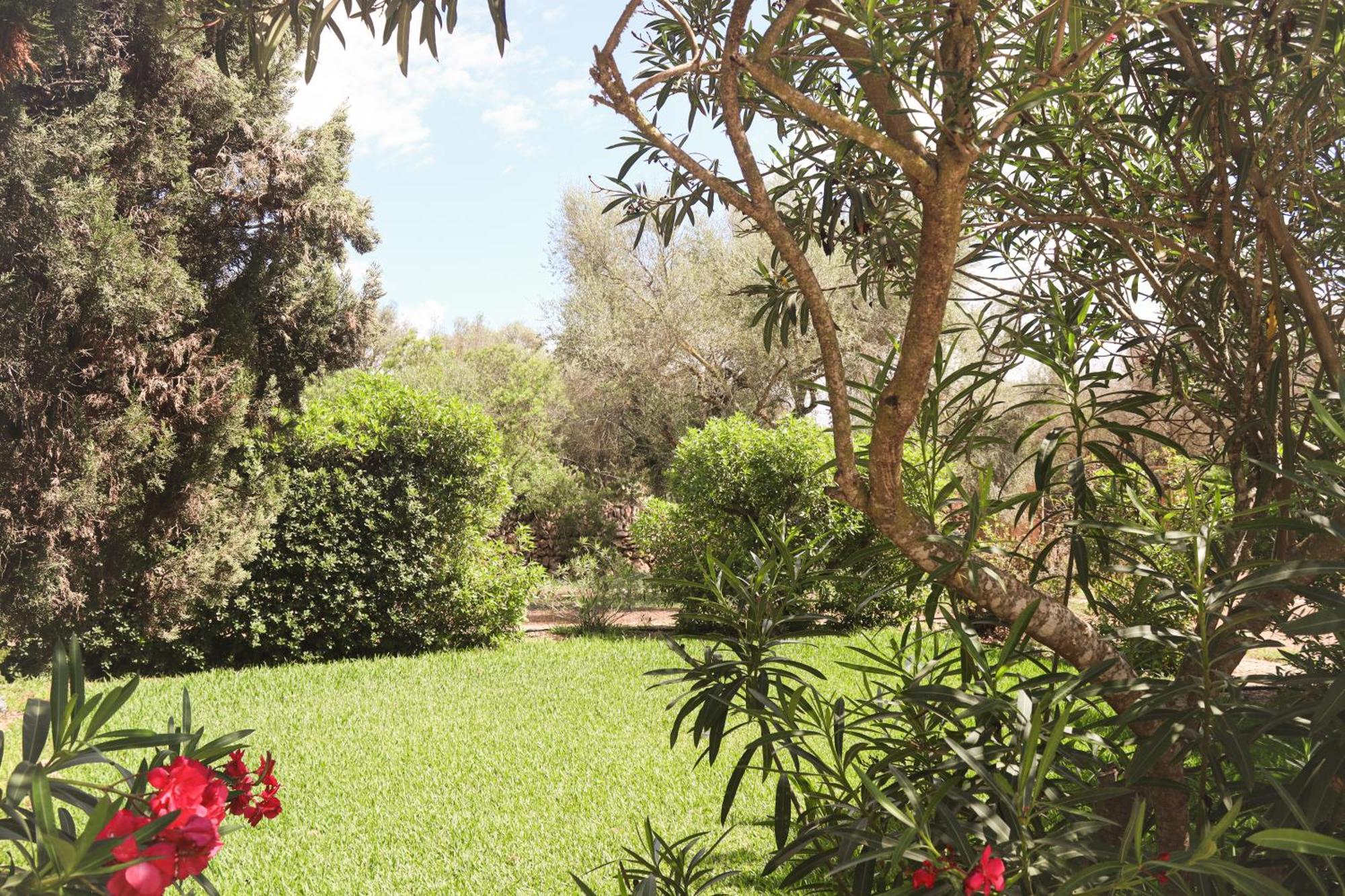 Finca Amapola - Agrotourismus カンポス エクステリア 写真